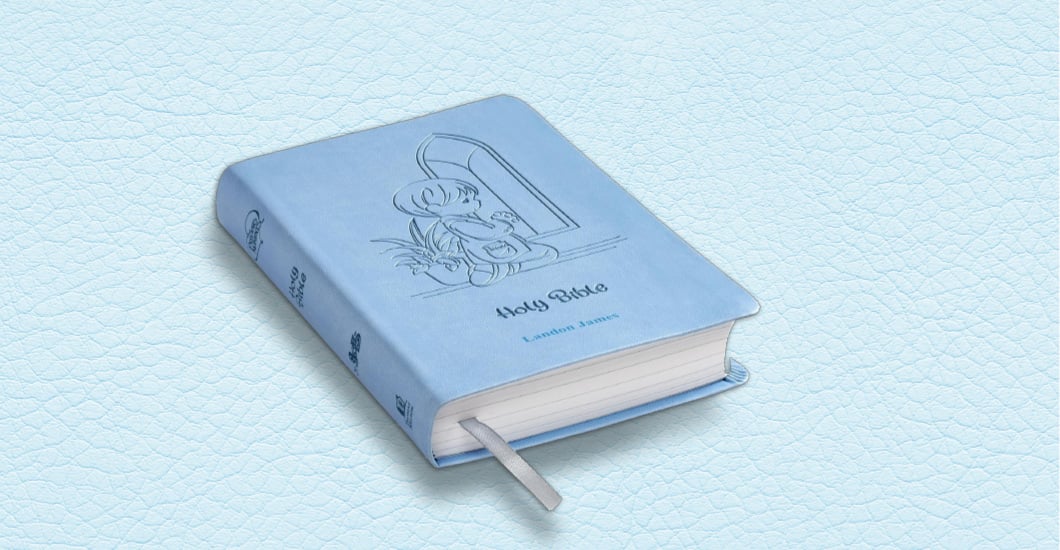 Article-The Little Blue Book
